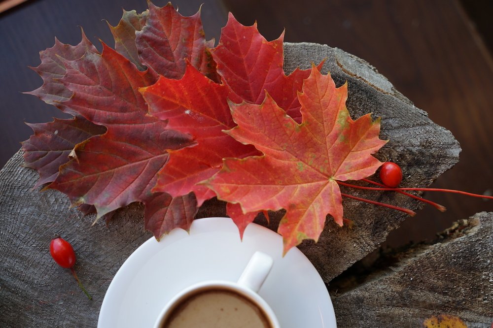 Фотография автора Ирина Зайцева