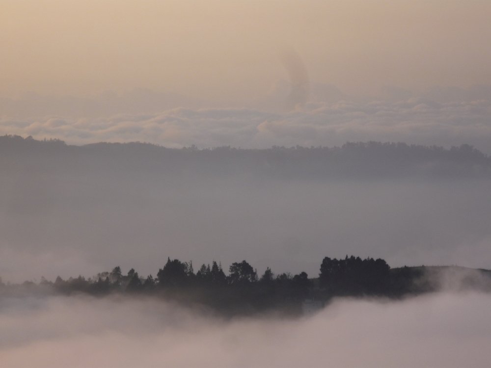 Photo #4217424