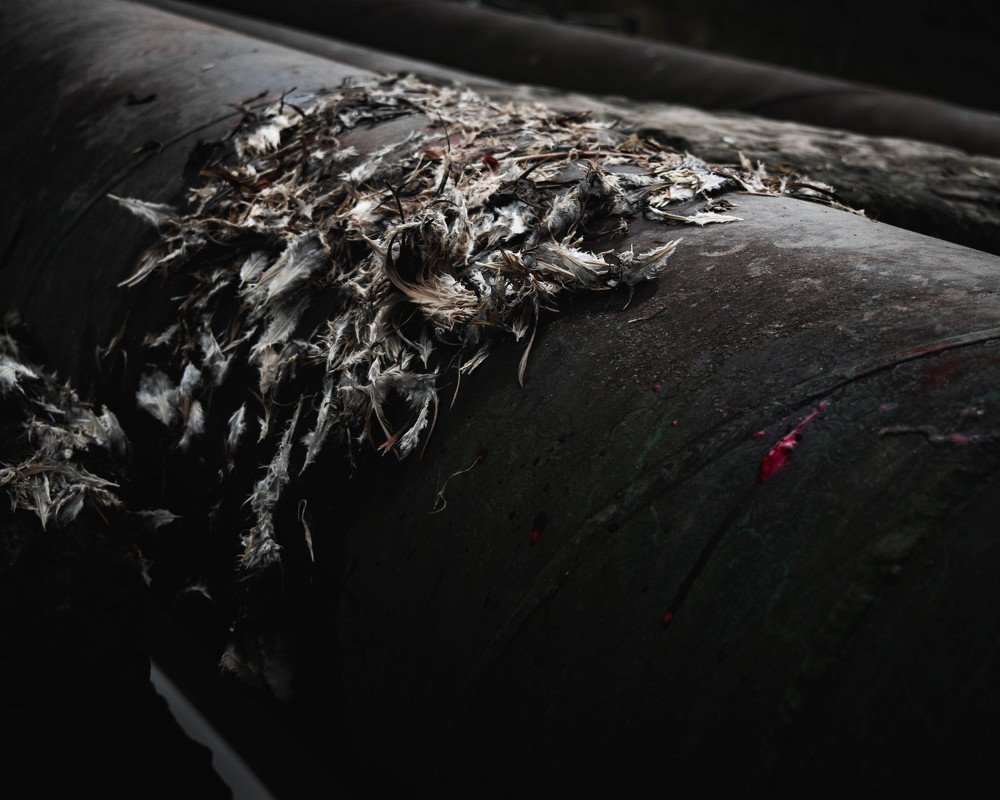 Photograph by Роман