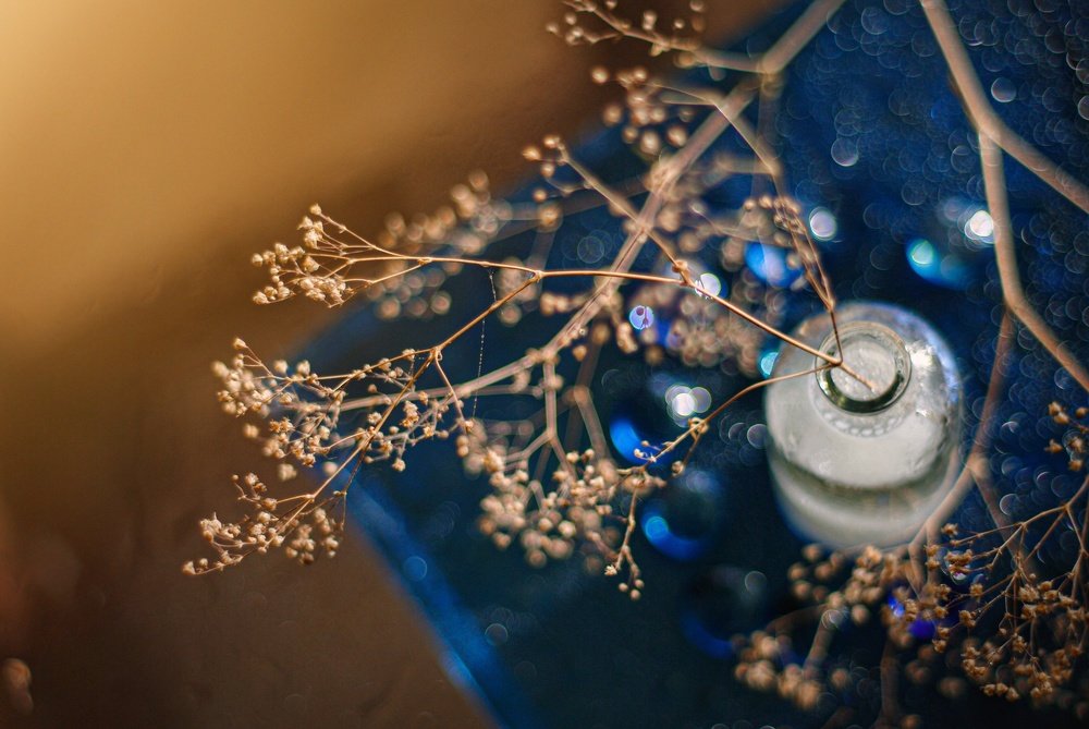 Photograph by Юлия Макаренко