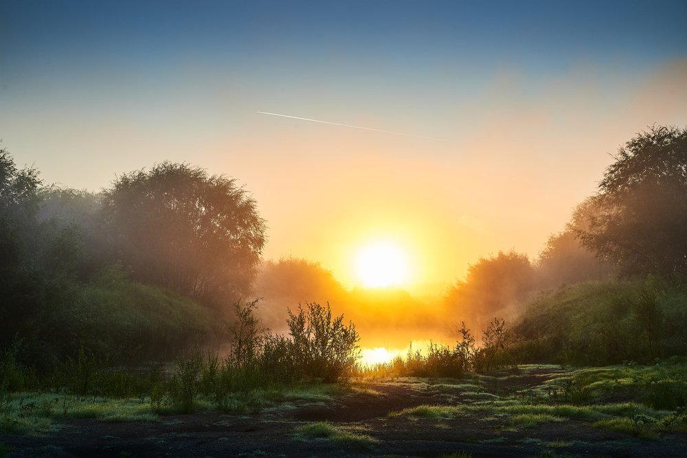 Пробуждение