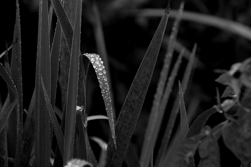 Фотография автора Oксана