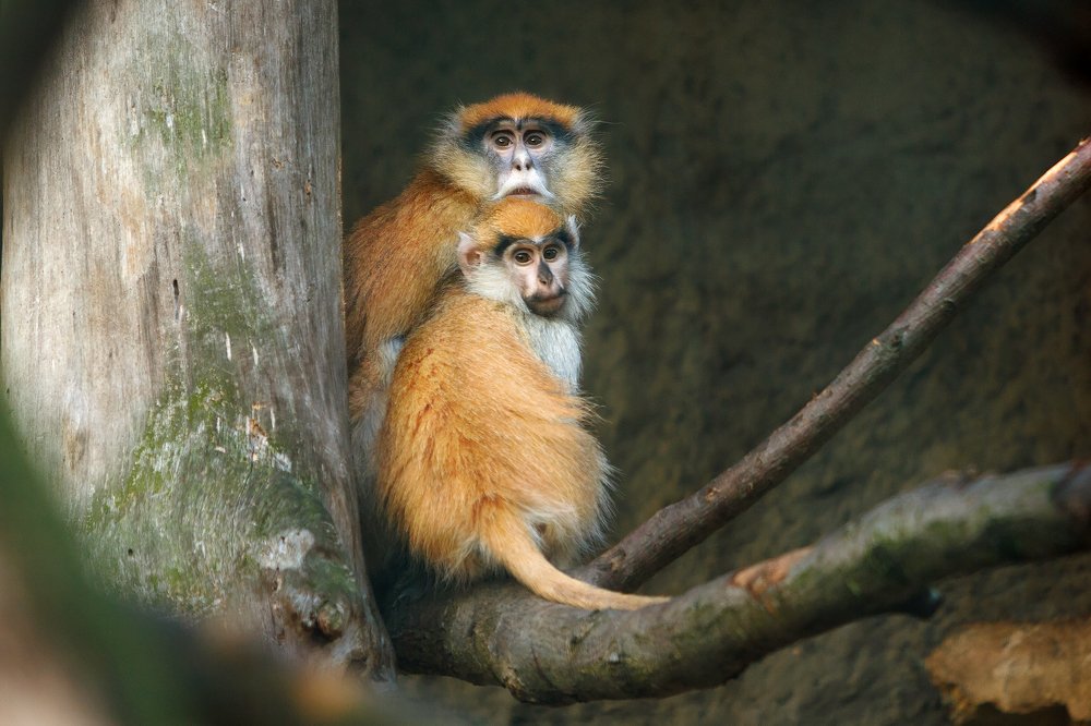 Photograph by Renate Tompsone