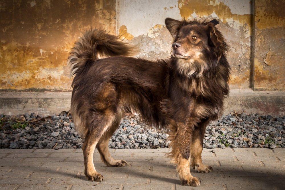 Photograph by Agne Speliene