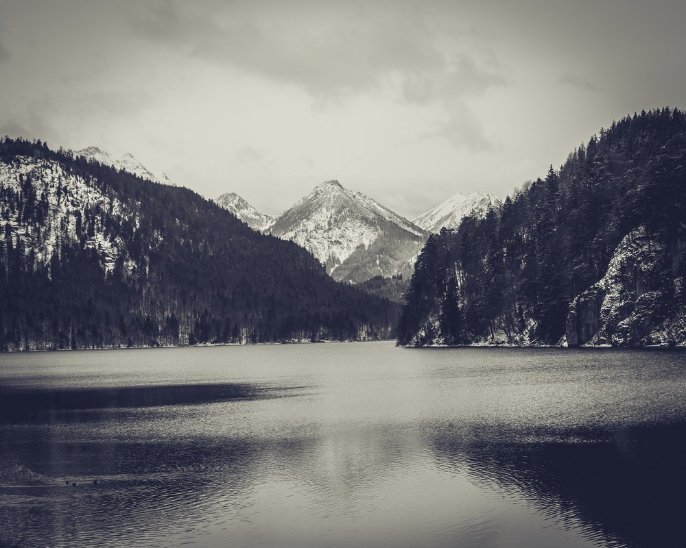 Photograph by Emiliano Levario Saad