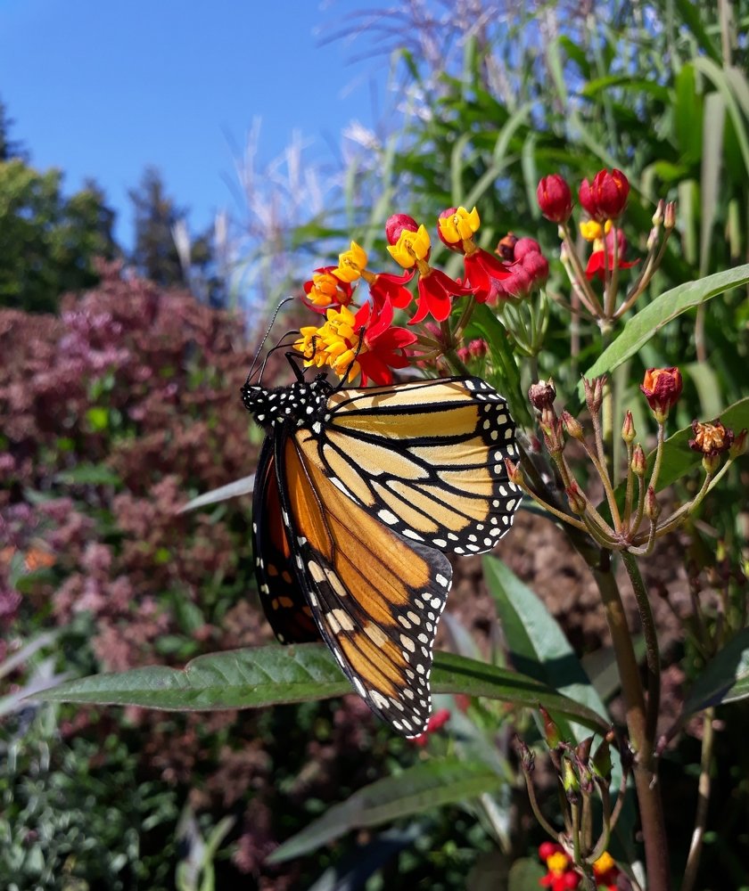 Photograph by Игорь