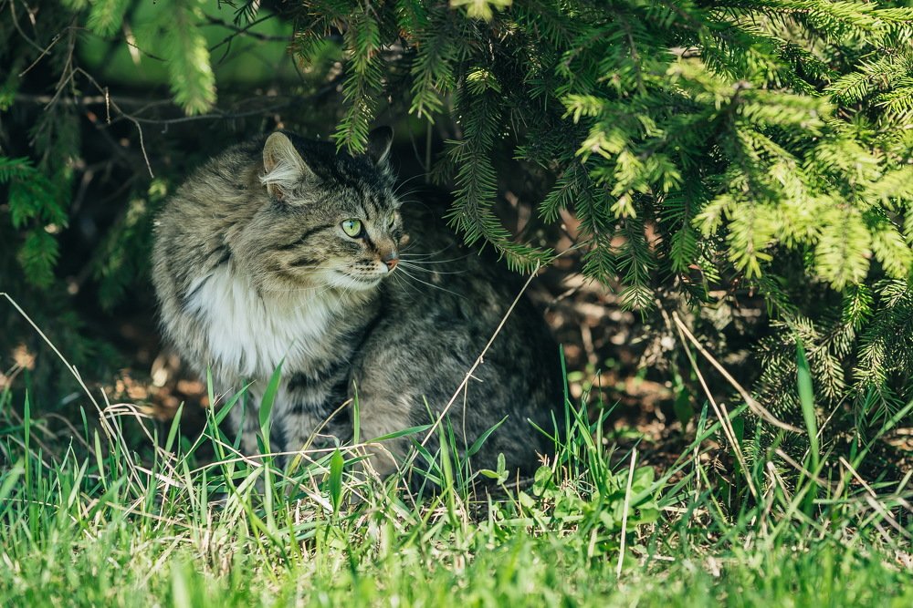 Photograph by Михаил Архипов