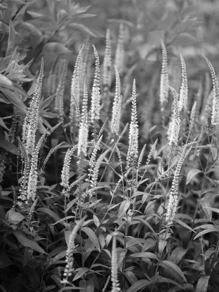 Photograph by Игорь