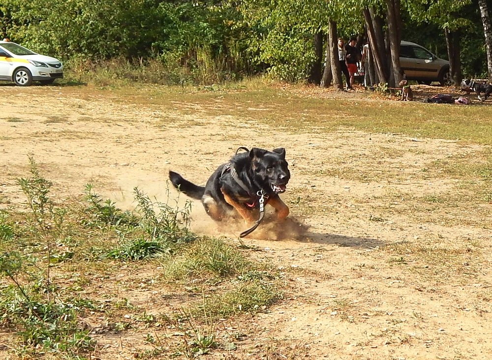 Photograph by Анастасия Рысь