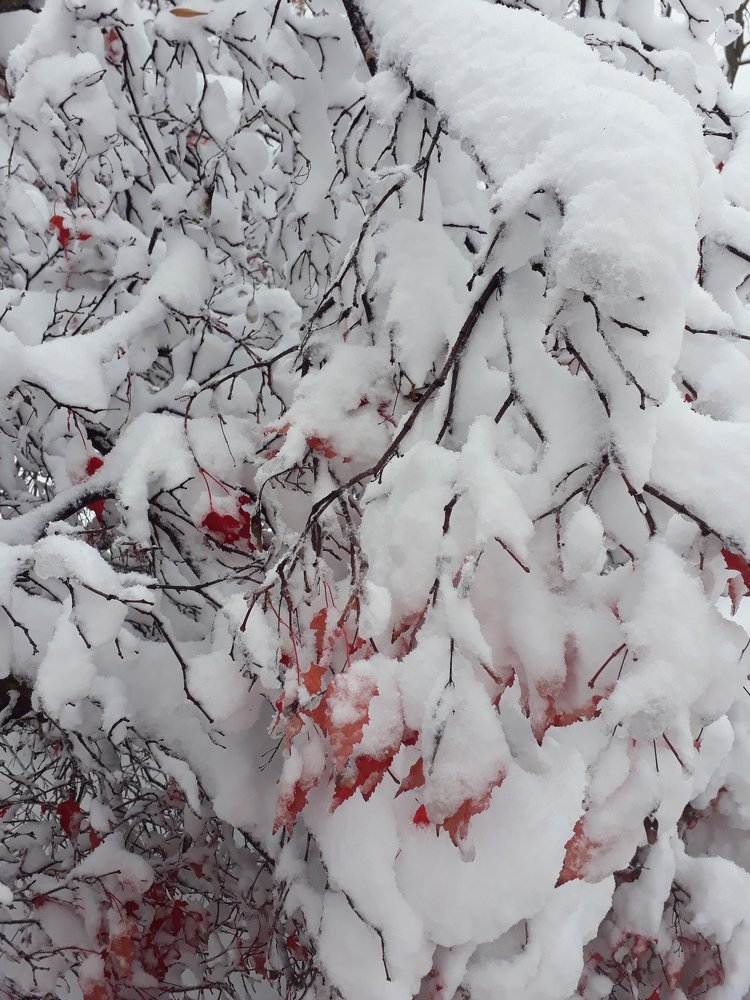 Photograph by Игорь