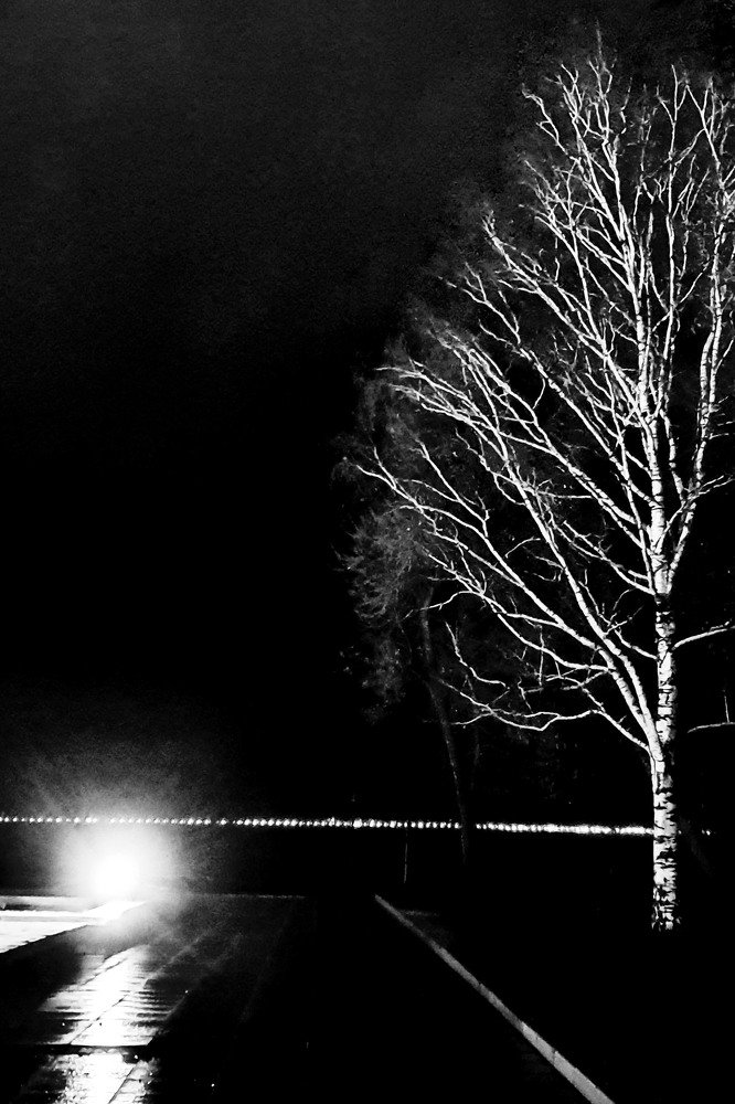 Photograph by Андрей Бойко