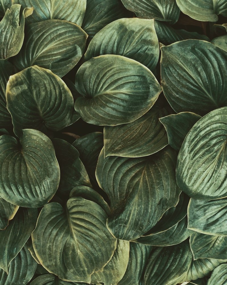 Photograph by Никита Чернов