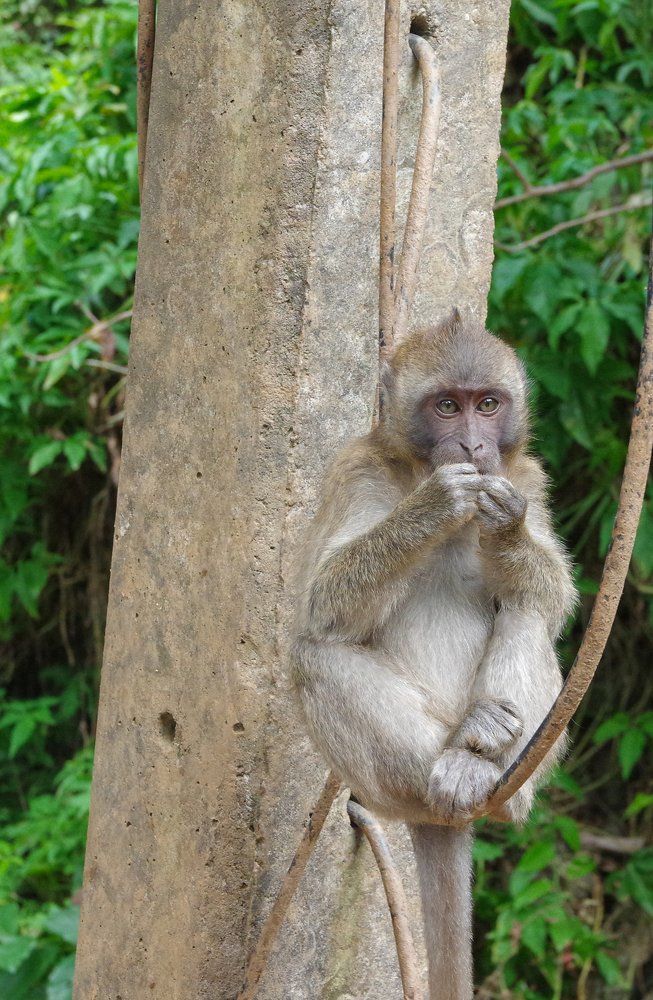 Photograph by Вячеслав Криволуцкий