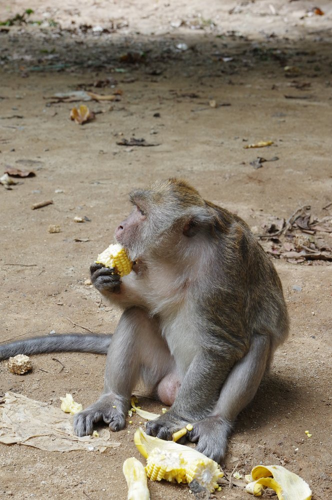 Photograph by Вячеслав Криволуцкий