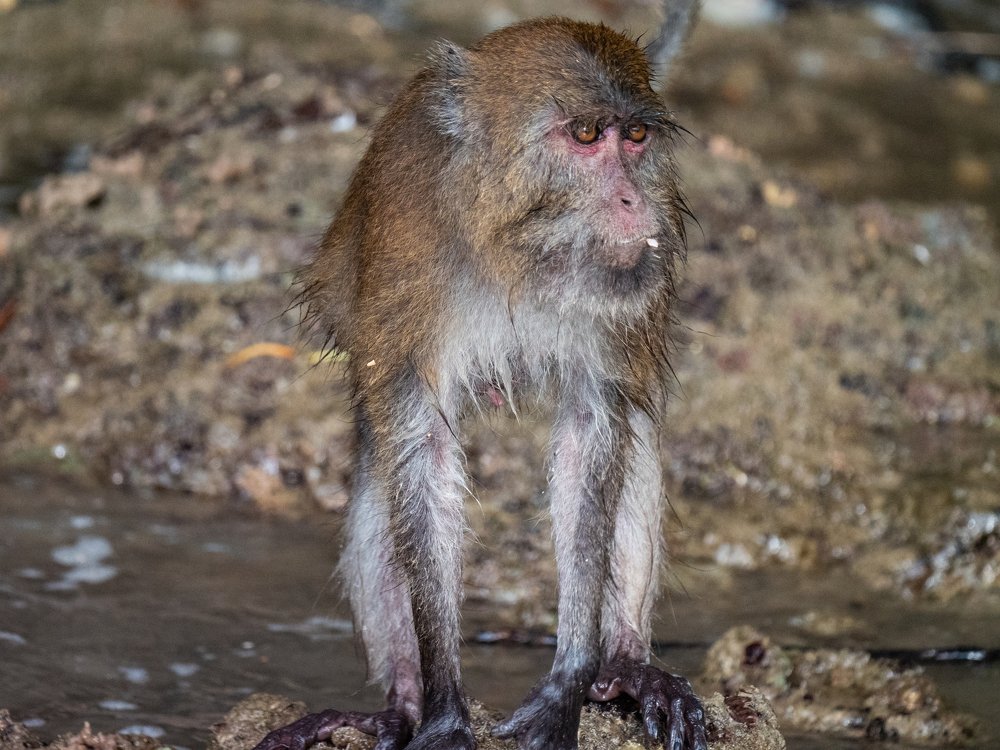 Photograph by Вячеслав Криволуцкий