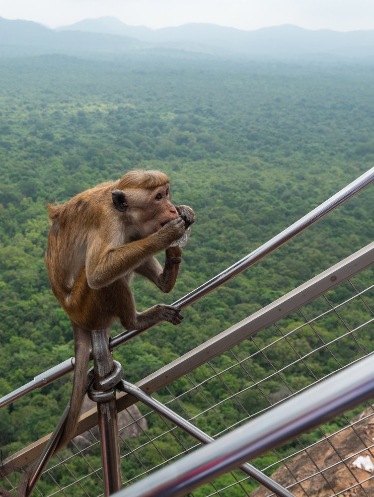 Photograph by Вячеслав Криволуцкий