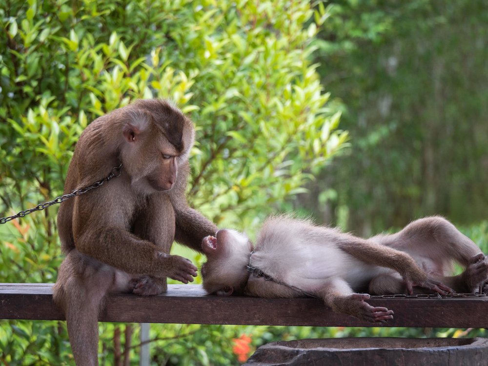Photograph by Вячеслав Криволуцкий
