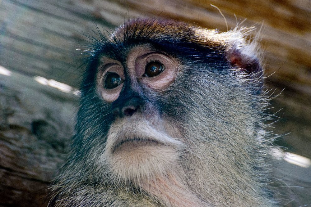 Photograph by Victor Belokrinitski