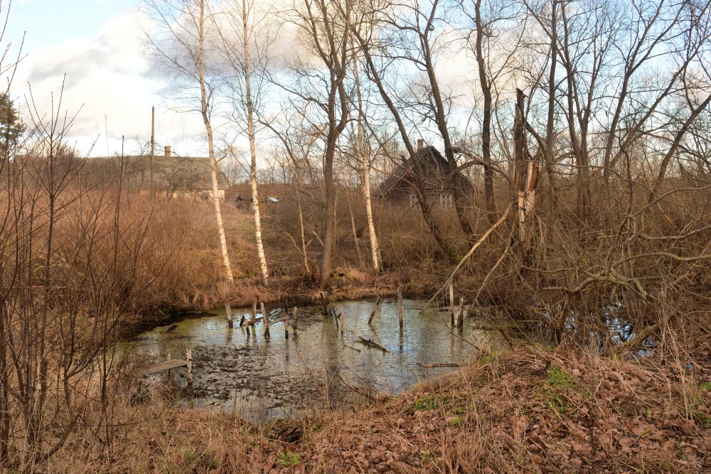 Photograph by Светлана Агапова