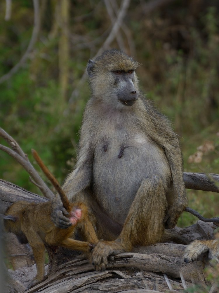 Photograph by Мария Карюхина