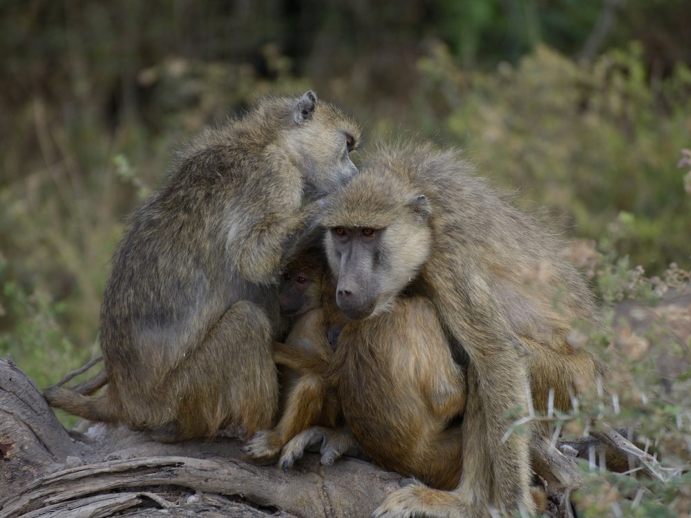 Photograph by Мария Карюхина