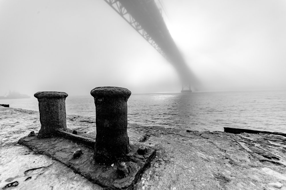 Photograph by Геннадий