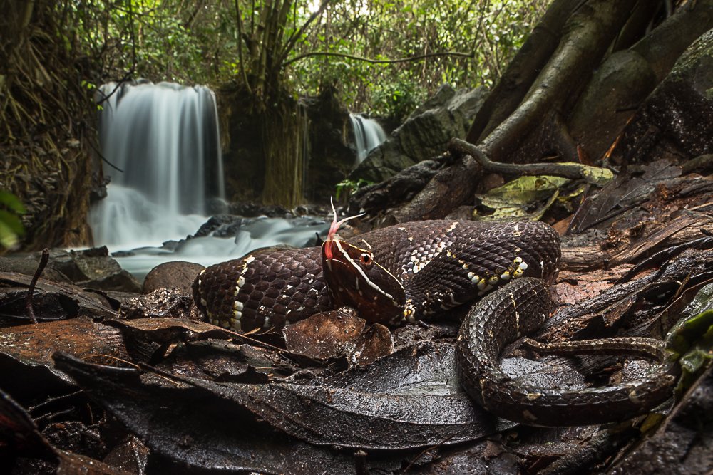 Photograph by Juan Manuel Gonzalez