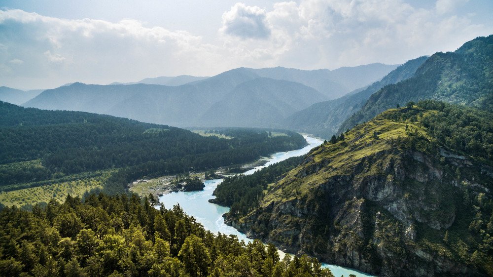 Altay