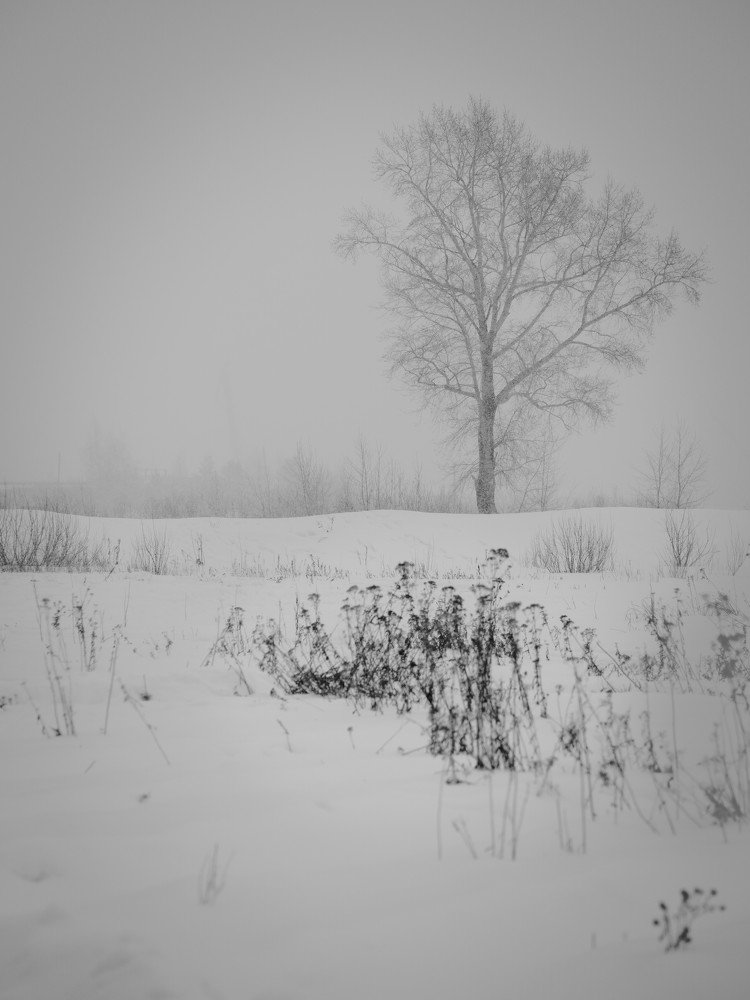 Photograph by Андрей Куприенко