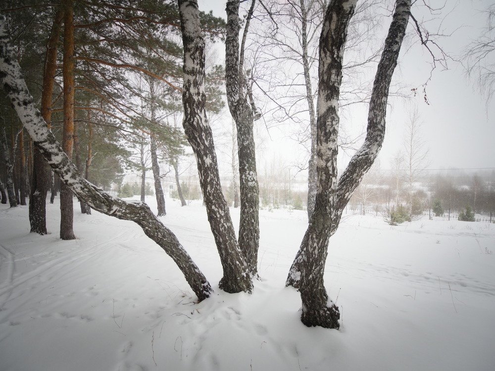 Photograph by Андрей Куприенко