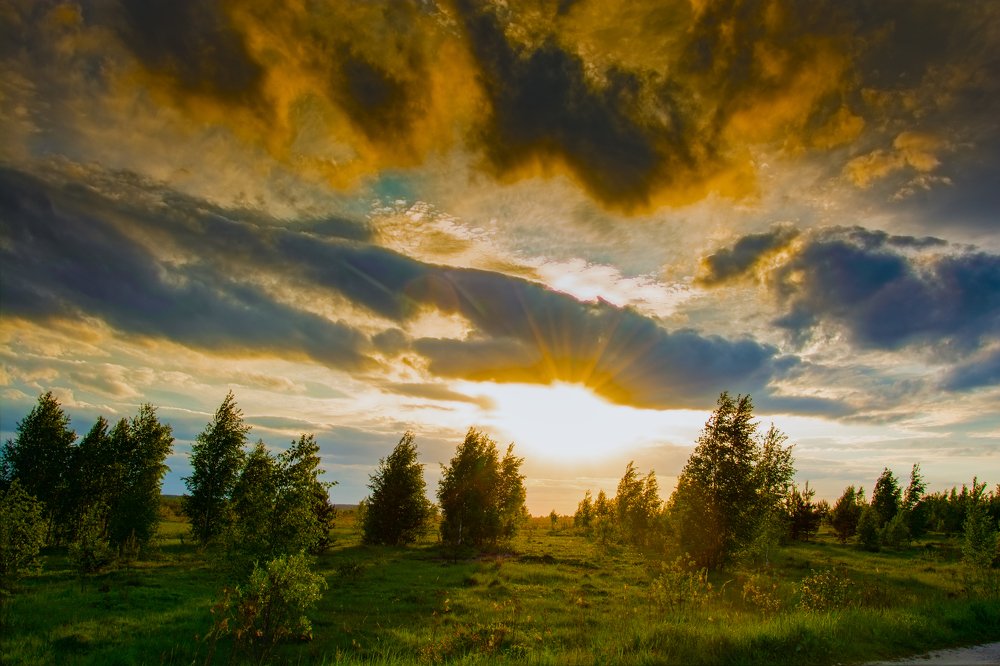 Photograph by Николаева Светлана