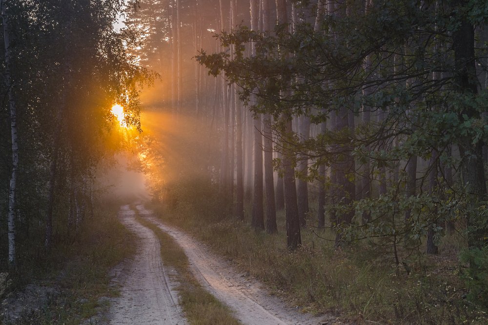 Photograph by Сергей Корнев