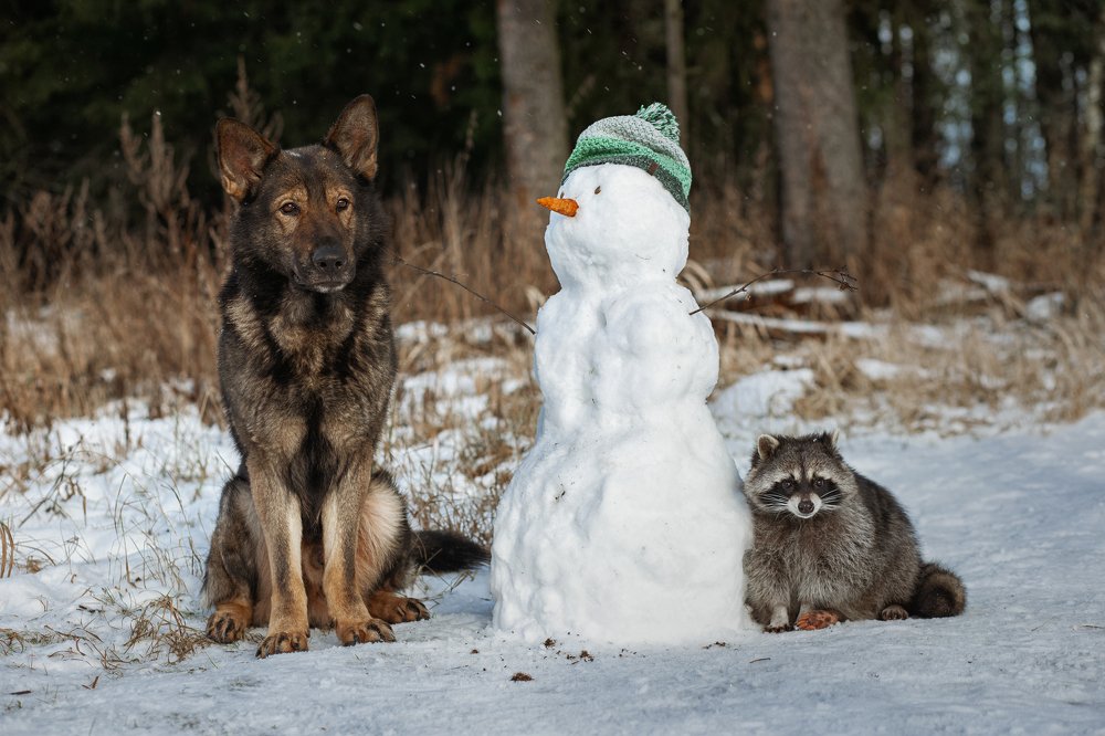 Photograph by Ирина Зайцева