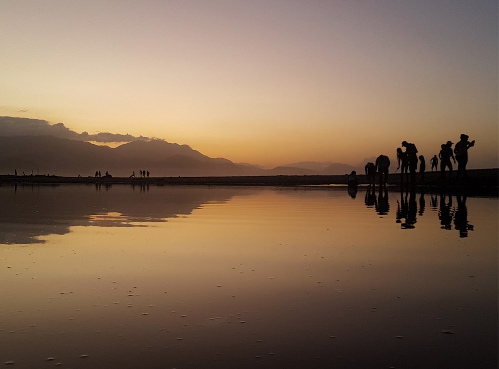 Cielo de venados en Buritaca