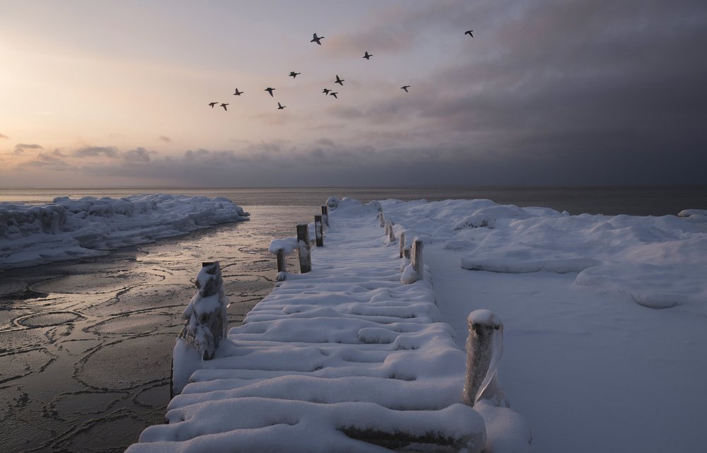 A story of ducks and old jetties