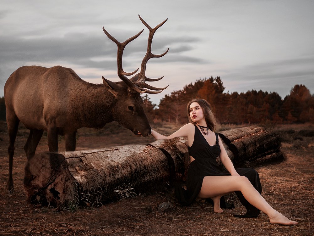 Photograph by Алина Фаизова