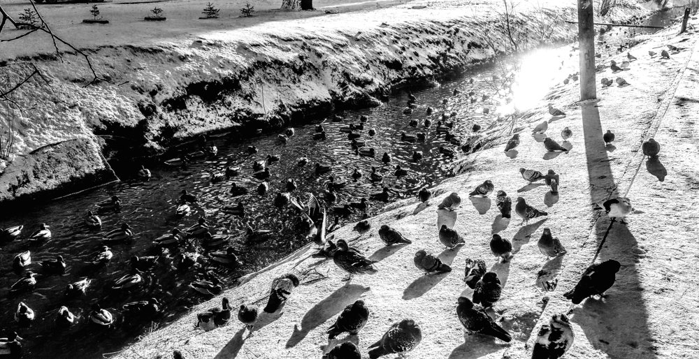 Времена года