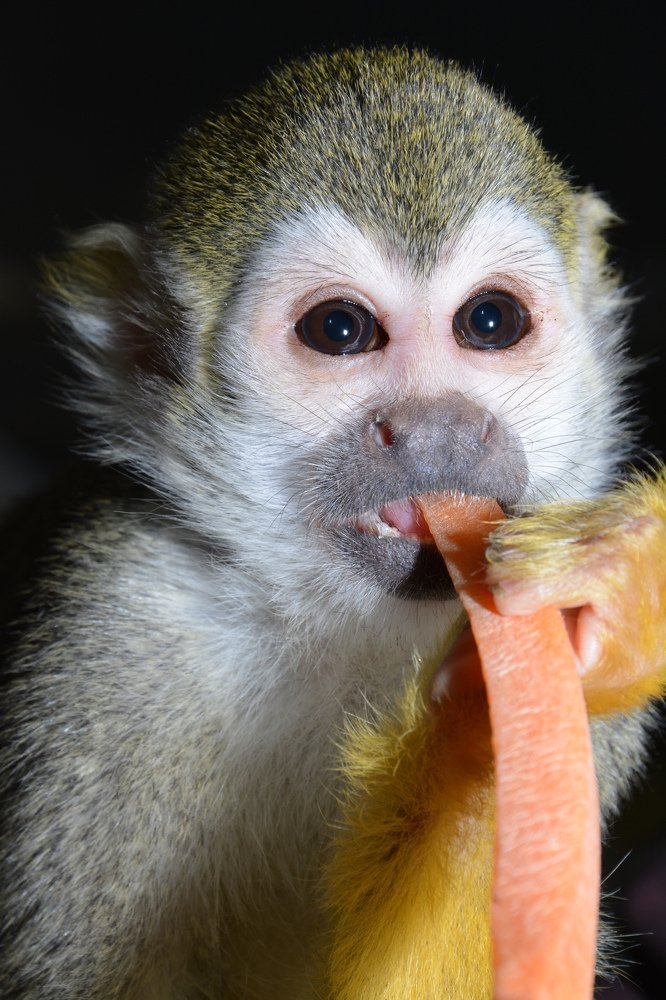 Photograph by Татьяна Кабанец