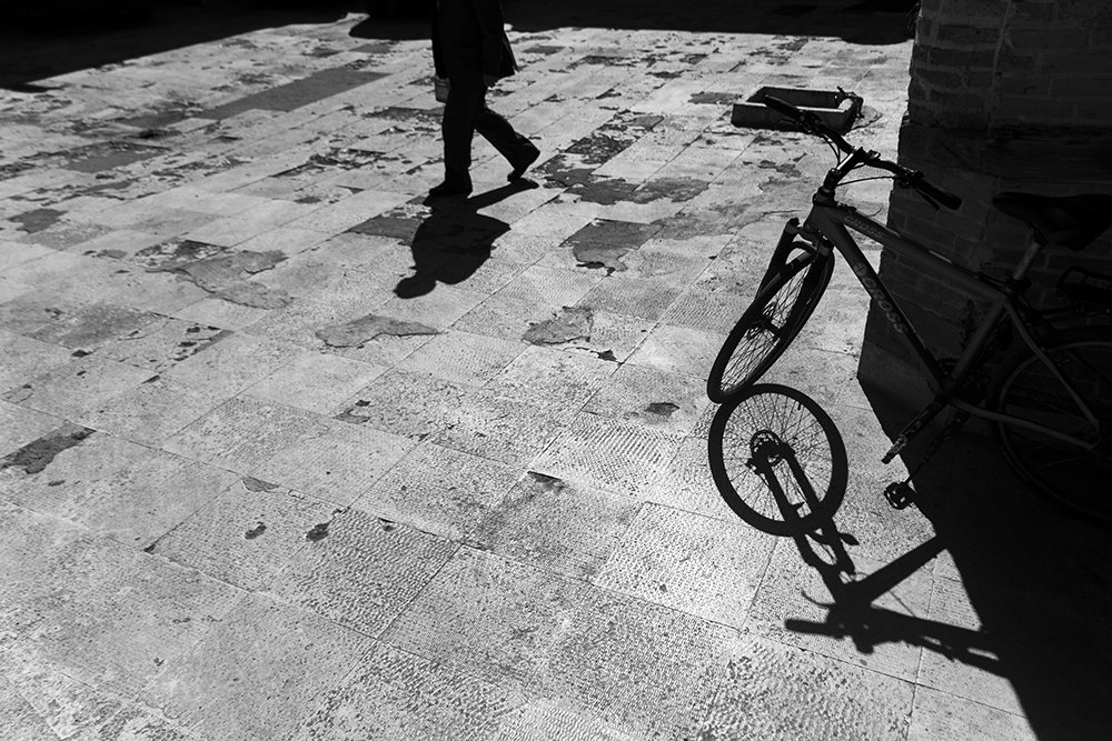 Photograph by Morteza Heidarian Mehr