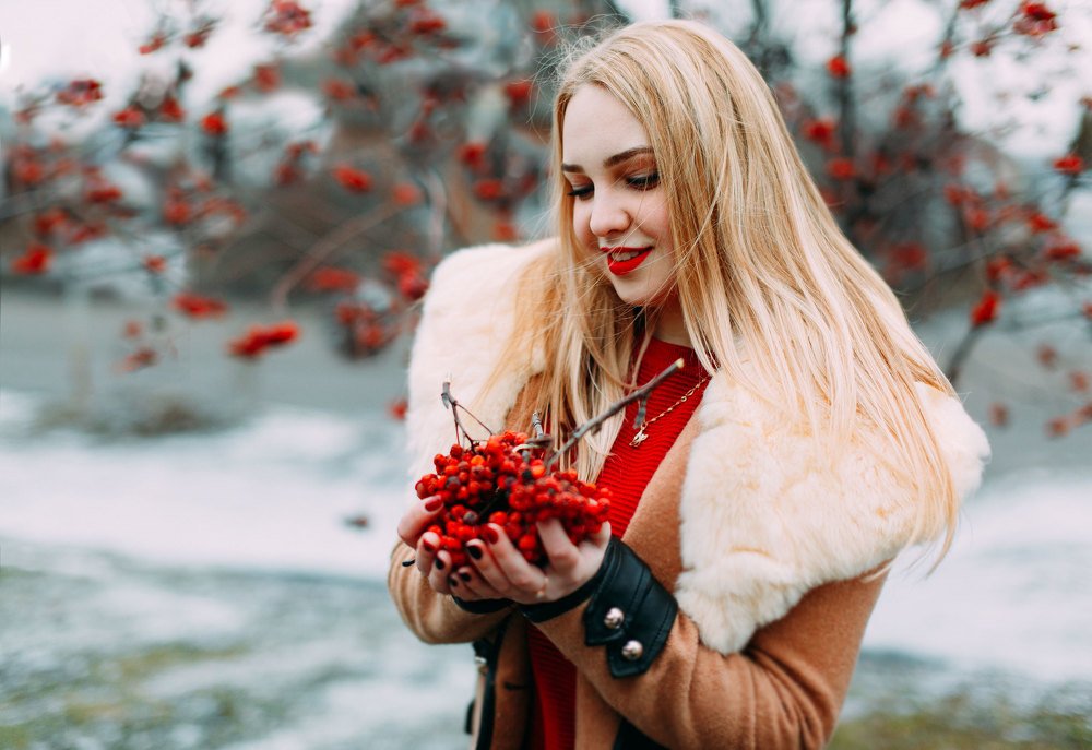 рябина красная