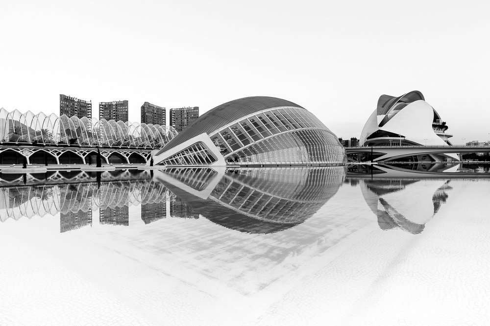 Город искусств и наук.