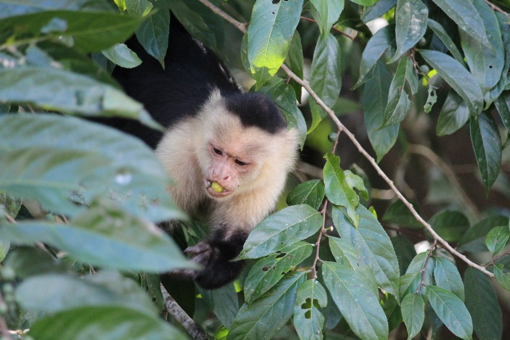 Photograph by Antonio