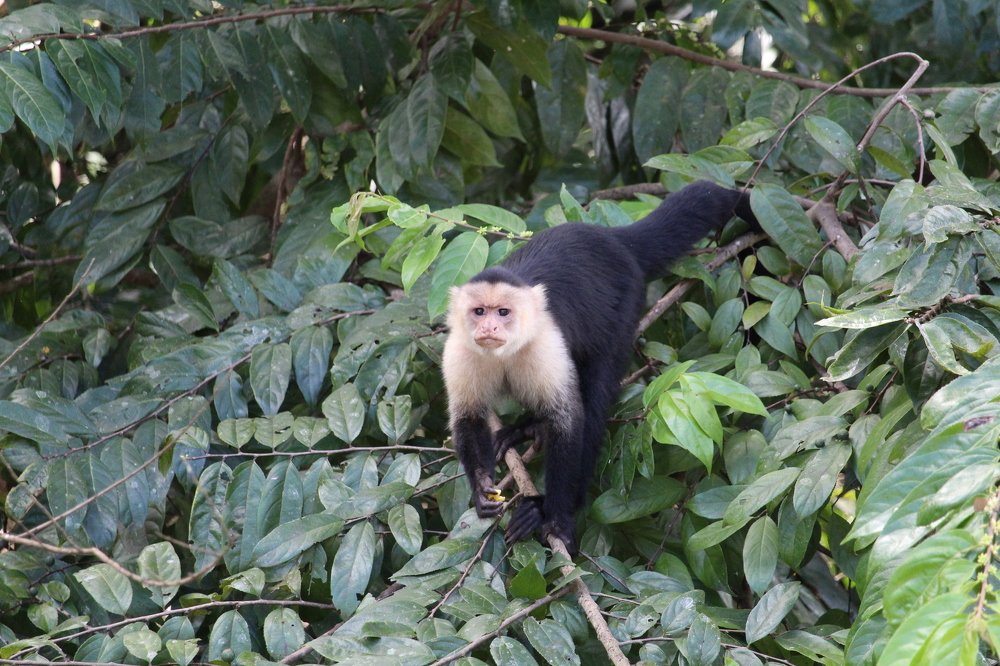 Photograph by Antonio