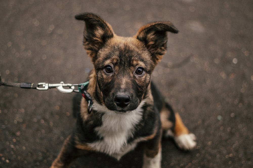 Photograph by Карина Горшкова