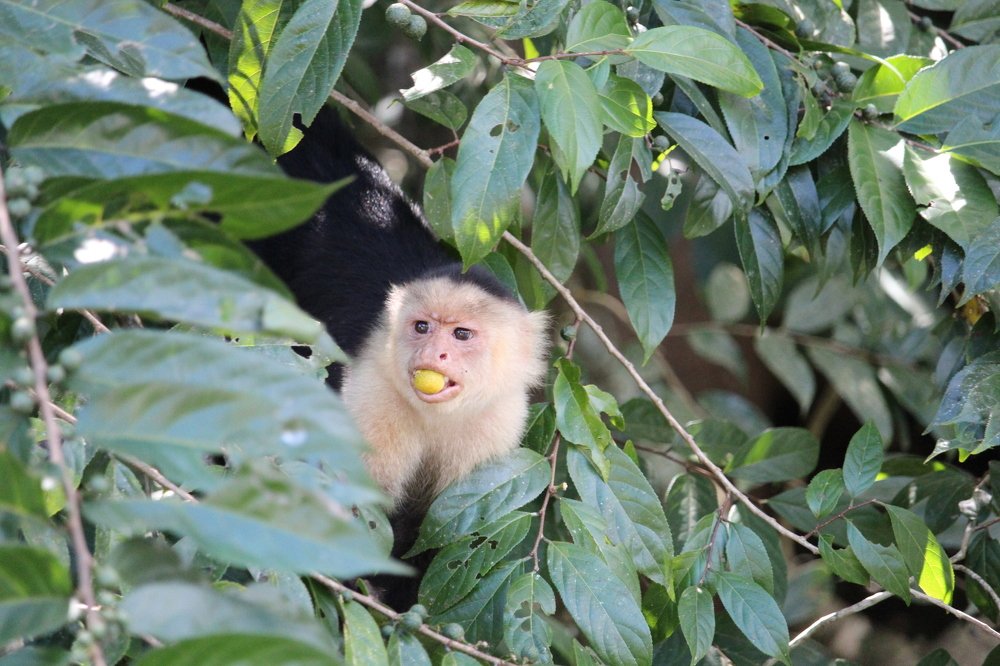 Photograph by Antonio