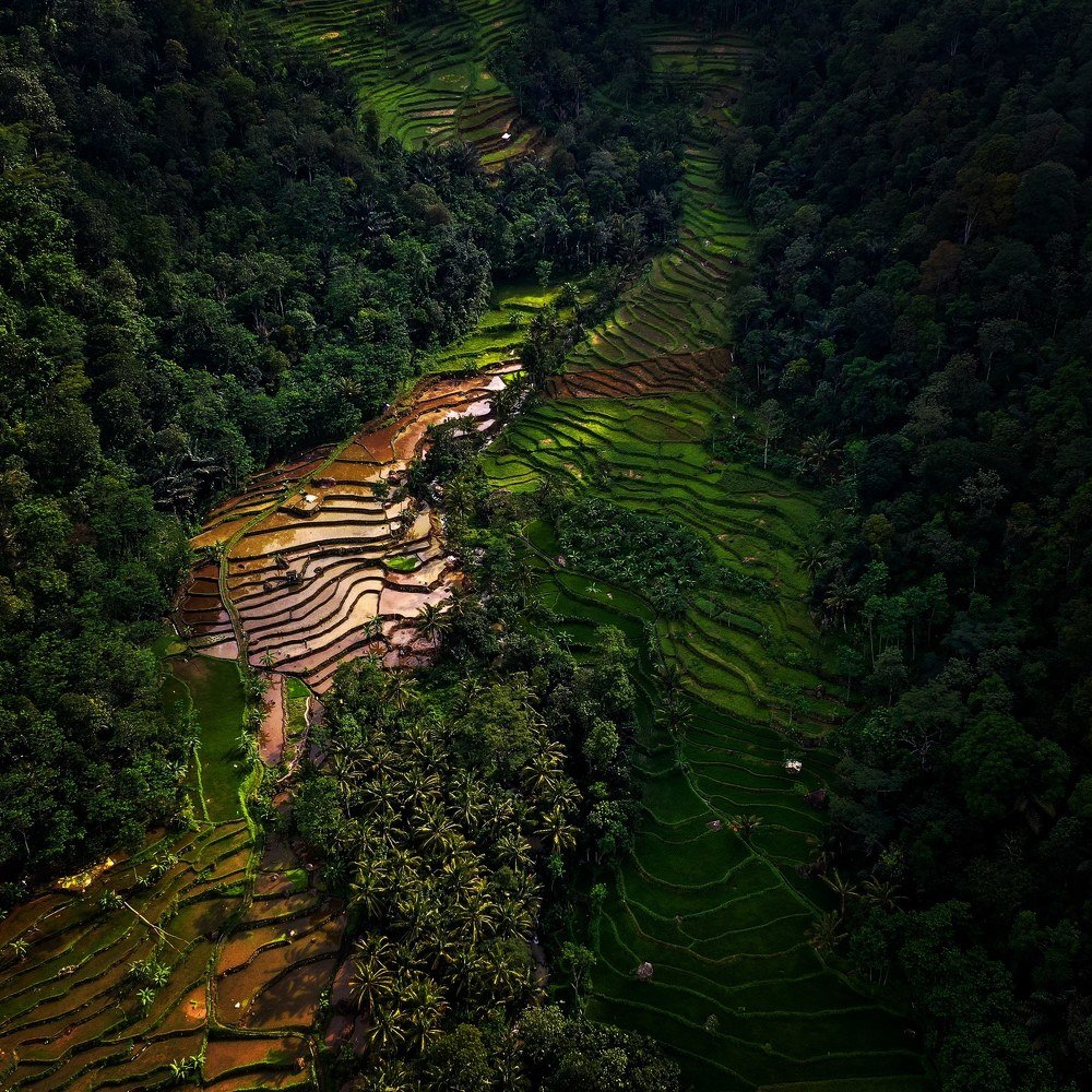 Photograph by Ahmad Syahrul Nizam