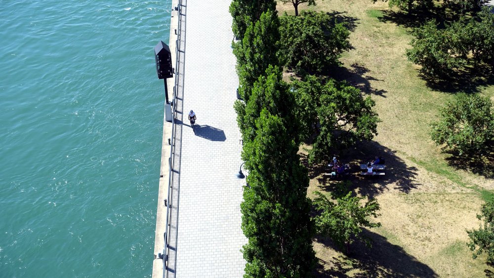 Photograph by Sylvie D.