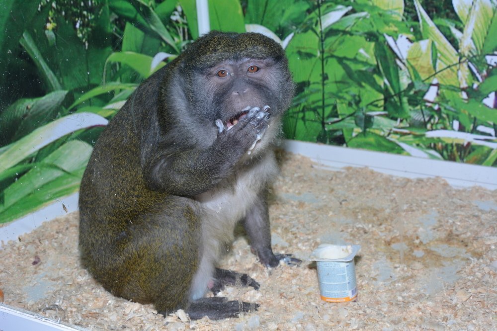 Photograph by Татьяна Кабанец