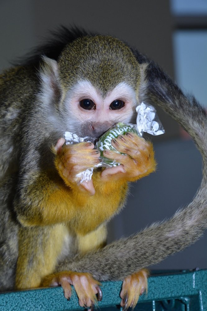 Photograph by Татьяна Кабанец