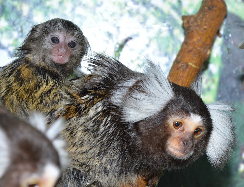 Photograph by Татьяна Кабанец